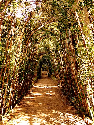 Boboli Gardens (300Wx400H) - Walk through the Boboli Gardens 