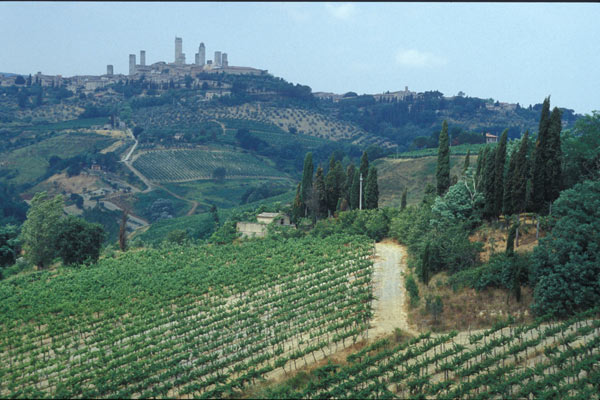 San Gimignano (600Wx400H) - Arts, history and wineyards in Tuscany (Photo Courtesy of <a href='http://www.studentsville.it' target='_blank'>studentsVille.it</a>) 