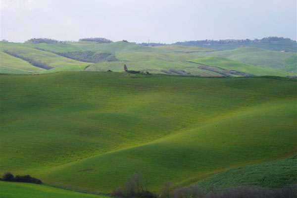 Volterra, hills. (600Wx400H) - Hills around the Tuscan village of Volterra. This is definitely one of the nicest area of Tuscany. Photo taken from Il Palagetto AgriHotel (Photo by Tommaso Ciabini) 